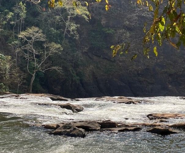 VAZHACHAL TREKKING